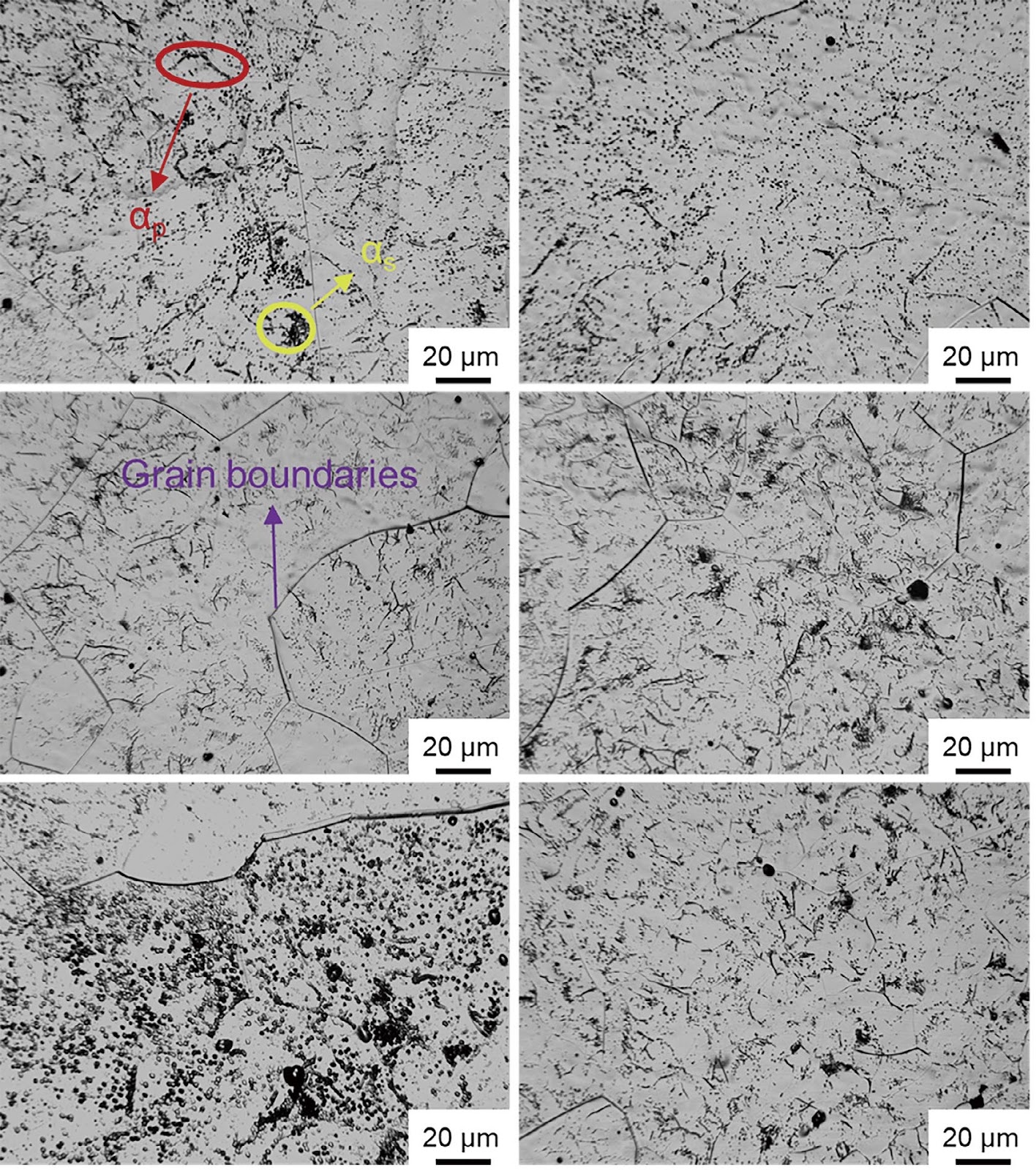 Microstructure and mechanical properties evolution of near-β alloy Ti-4Al-6Cr-5Mo-5Nb-xTa