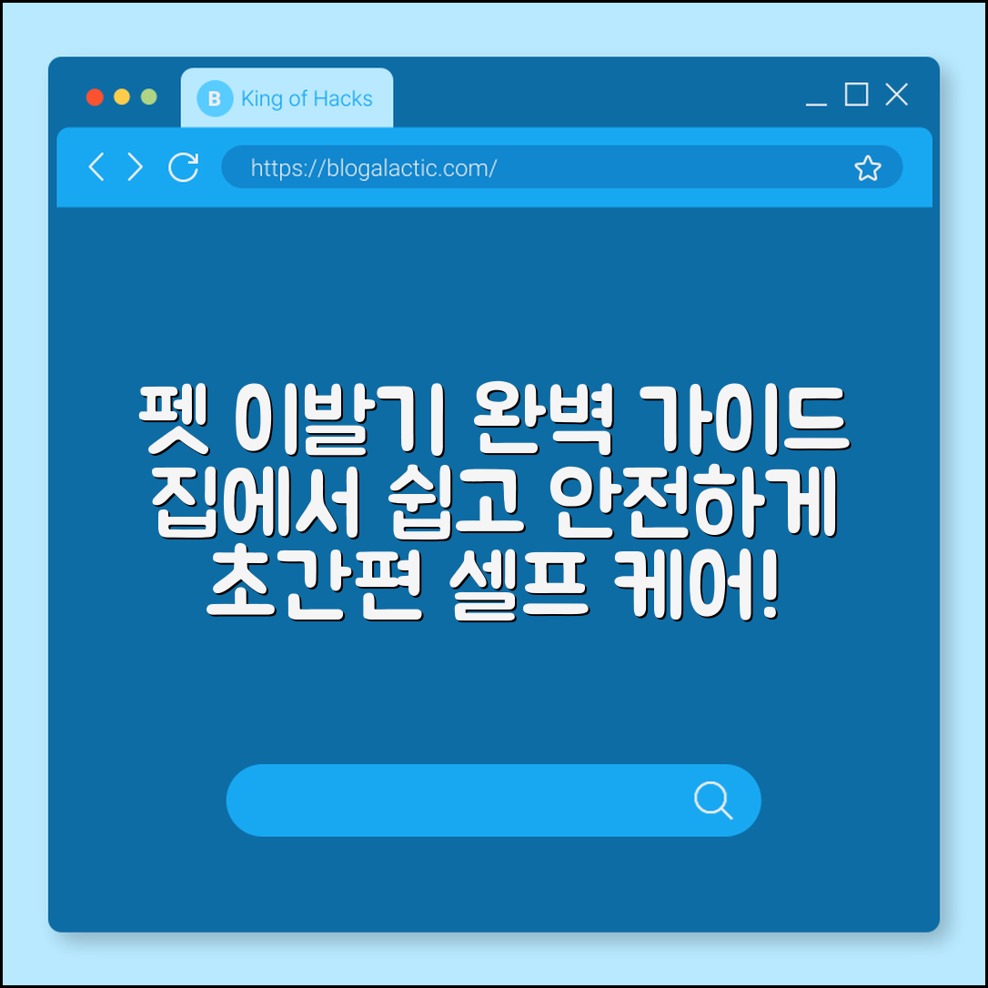 펫 이발기 완벽 가이드: 집에서 쉽고 안전하게
