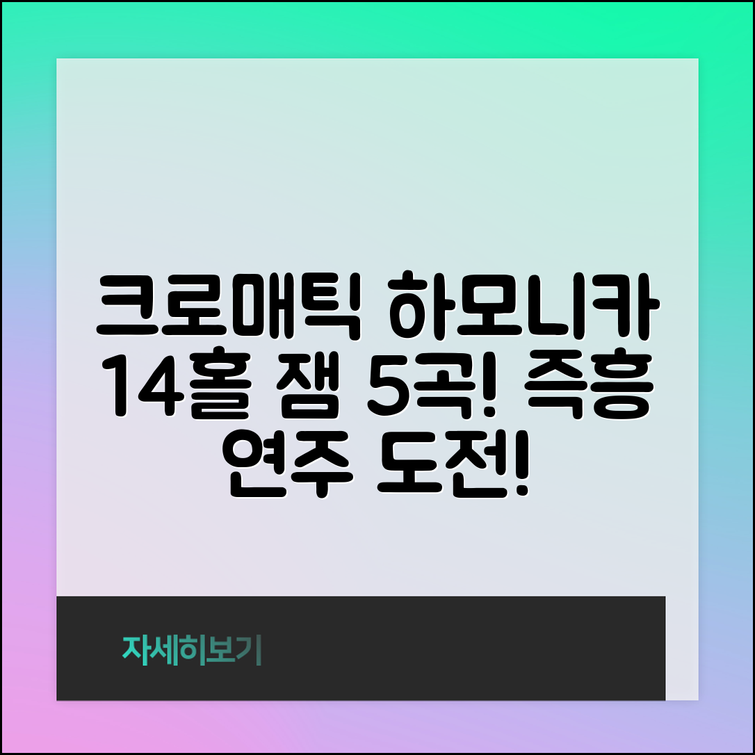 크로매틱하모니카14홀로 연주하는 5가지 잼