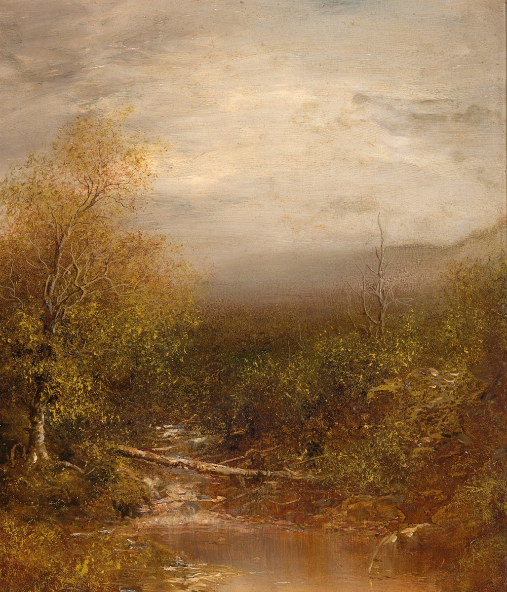 Pool in the Adirondacks 1875 1878
