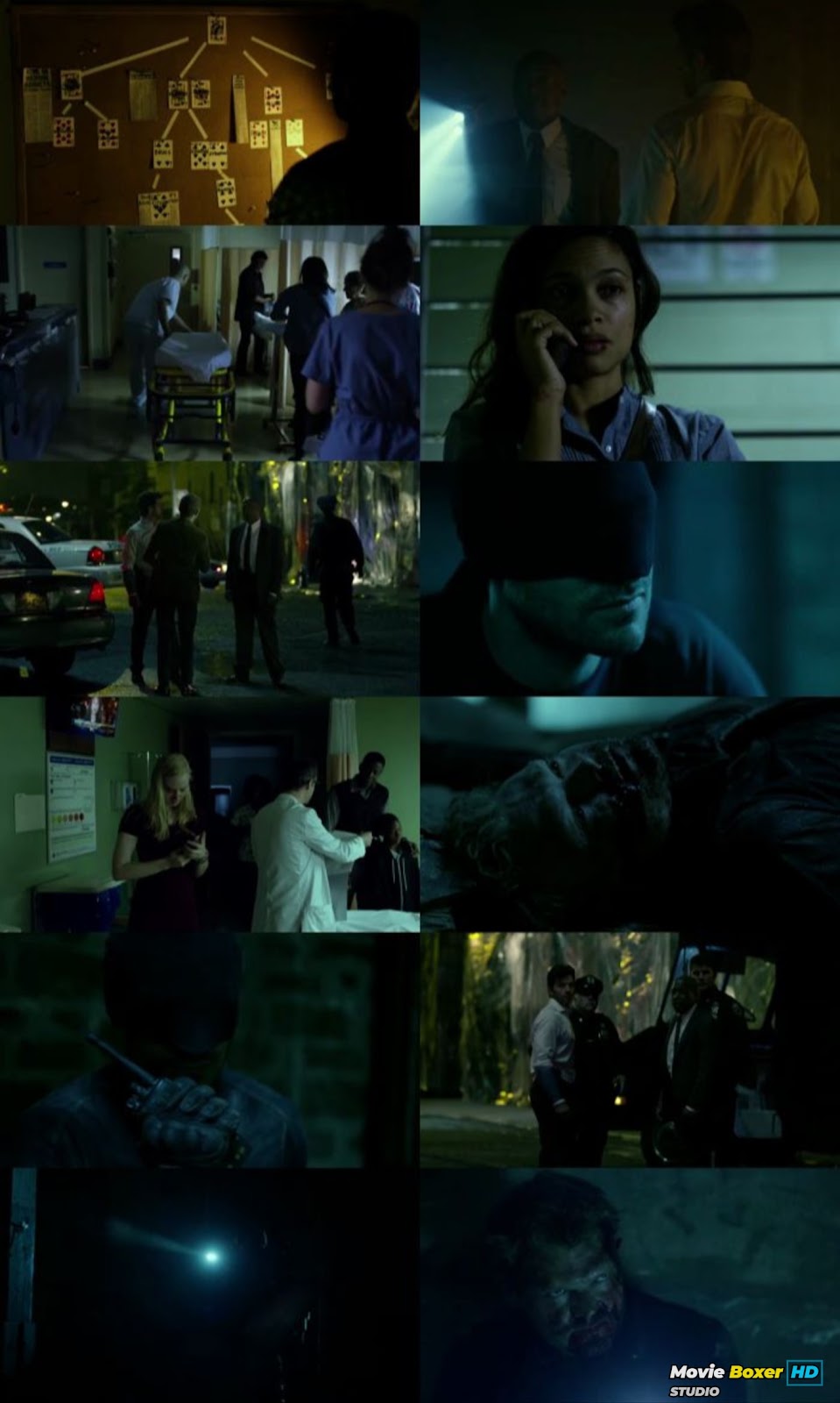 Screenshots Grid