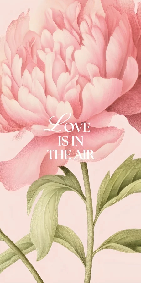 Pink Peony Flower Illustration Full HD iPhone Phone Wallpaper