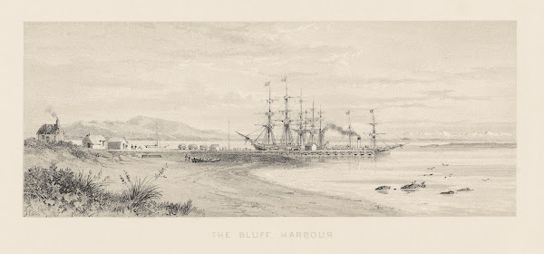 New Zealand Graphic and Descriptive Plate V The Bluff Harbour 1877