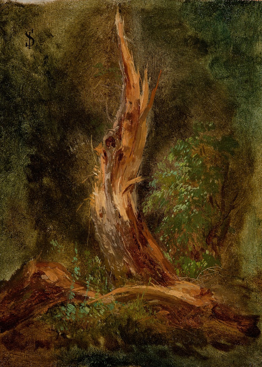 Volhynian Forest 1864