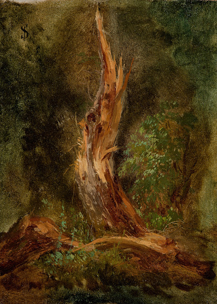 Volhynian Forest 1864