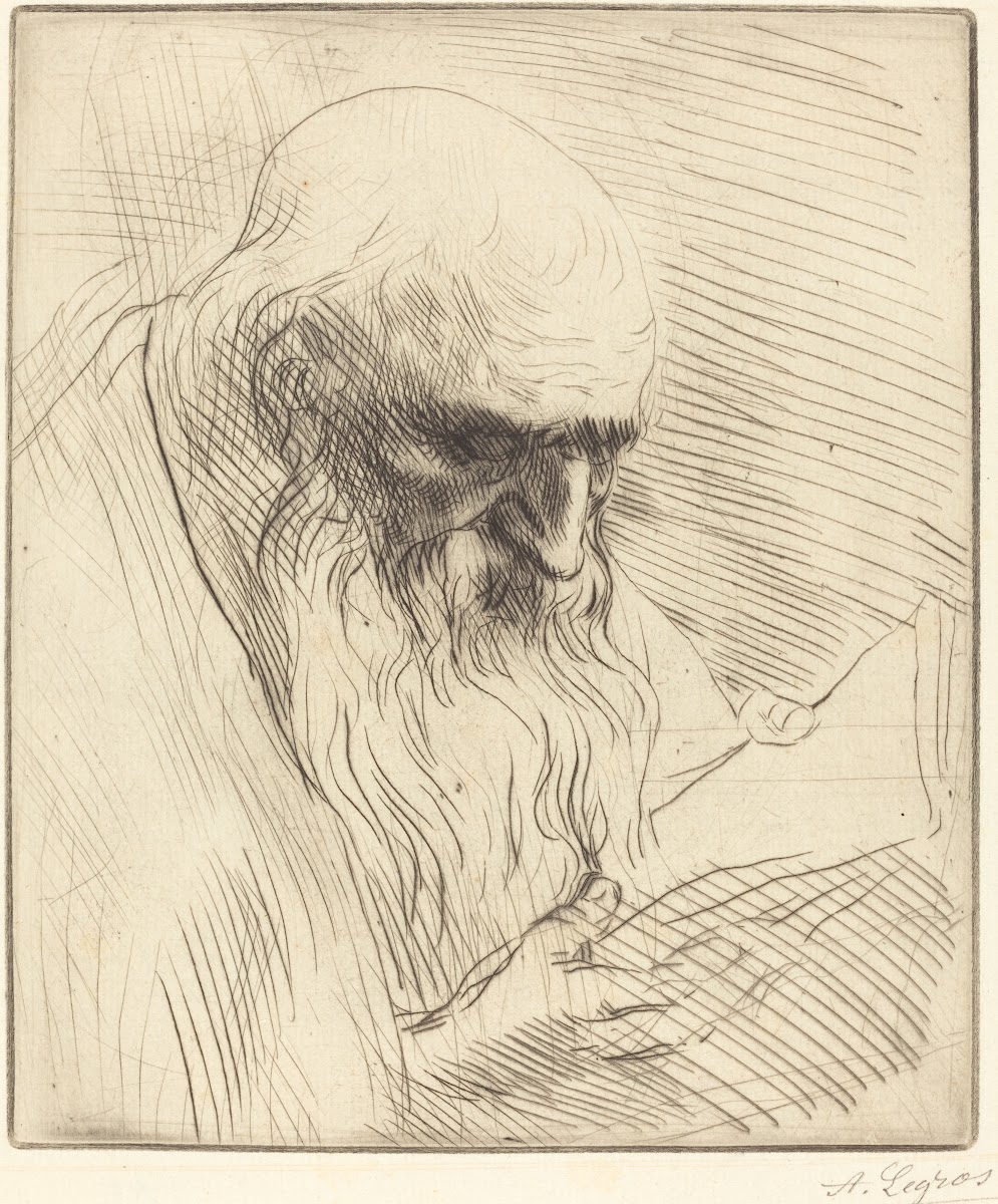 Study of the Head of a Man Reading Etude de tete dhomme lisant