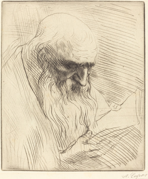 Study of the Head of a Man Reading Etude de tete dhomme lisant