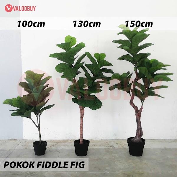 Pokok Viral Fiddle Fig Pokok Tiruan Hiasan