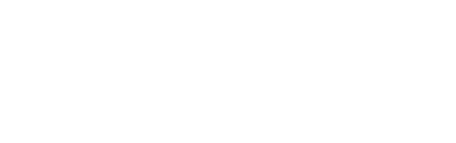 Fyzl Group