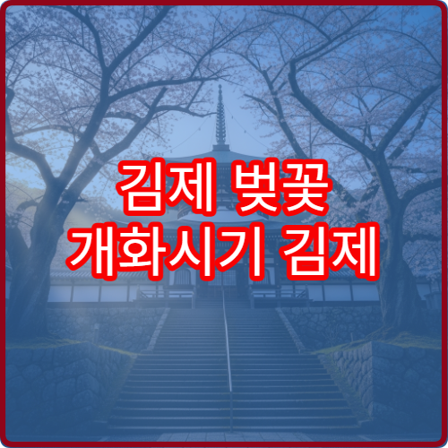 김제 벚꽃 개화시기 김제 벚꽃 언제 필까