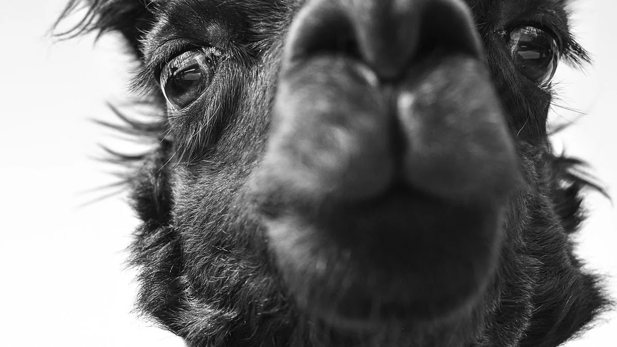 복지 대상자 에너지 비용 지원금 종류와 신청 방법 안내