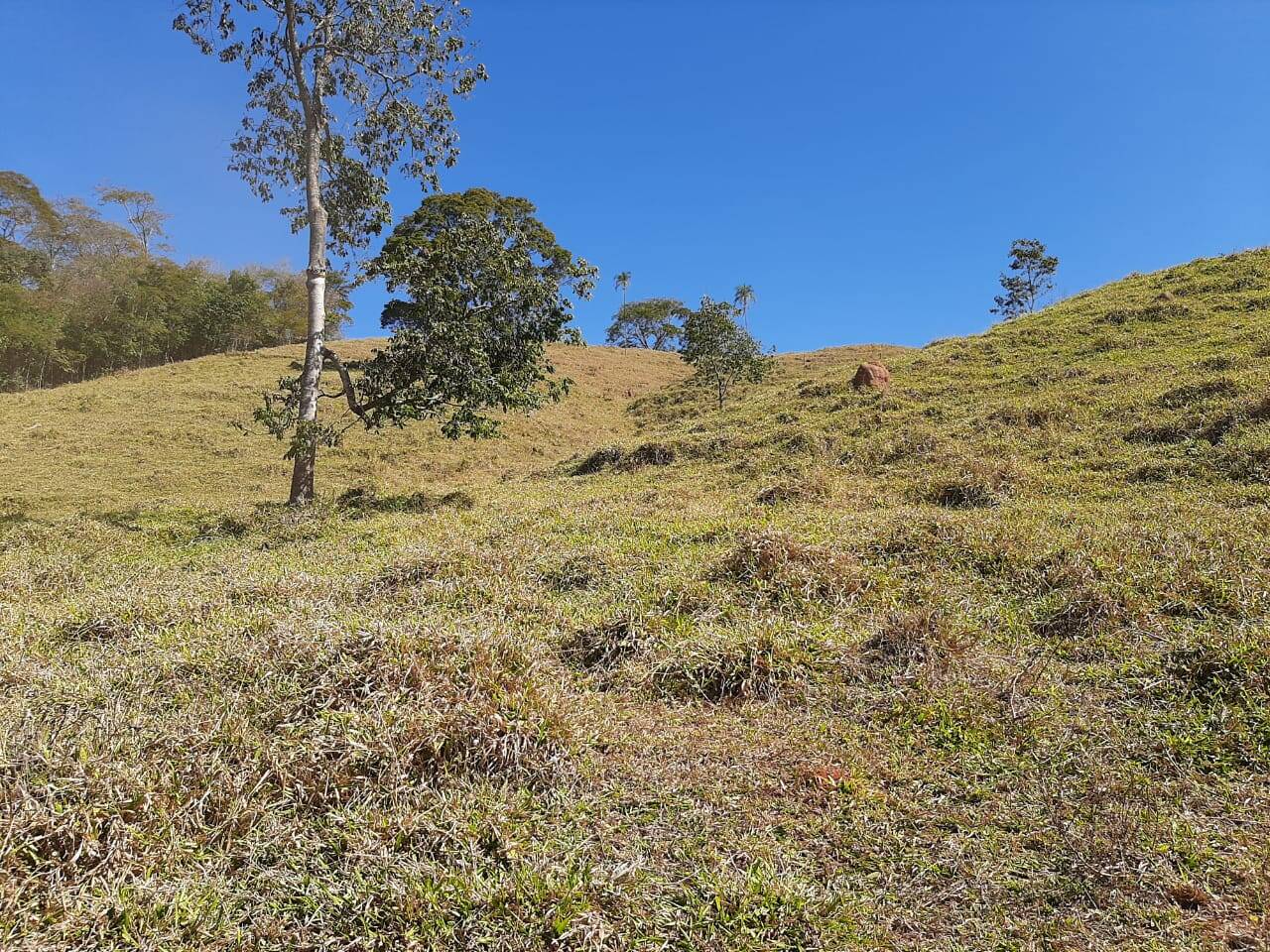Fazenda em São Miguel do Passa Quatro - GO 7
