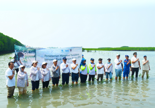 Mangrove Restoration