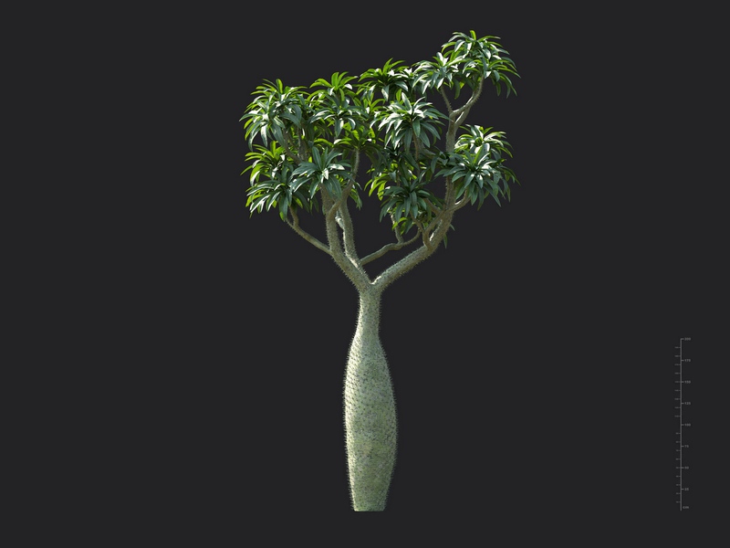 Maxtree - Plant Models Vol.130