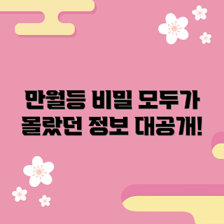 만월등 정보, 만월등 비밀, 조명 추천, 인테리어 아이디어, 분위기 조성