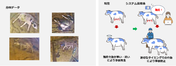 実験背景・目的