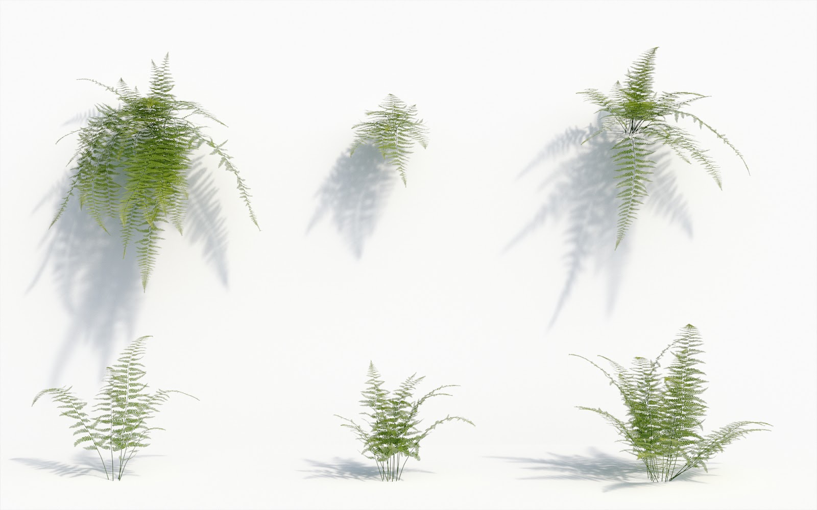 Maxtree - Plant Models Vol.8