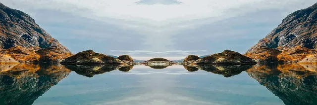 구독 해지가 검색 폭발하는 이유