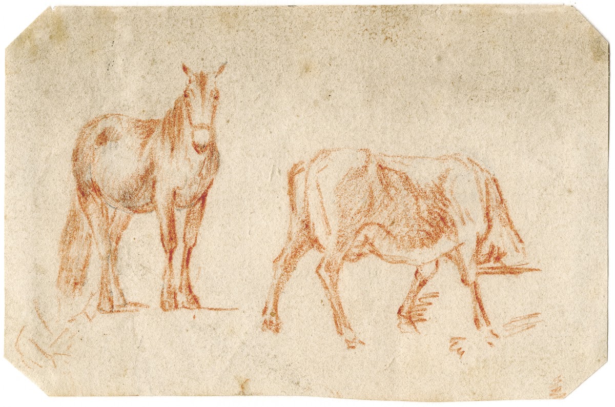Twee paarden