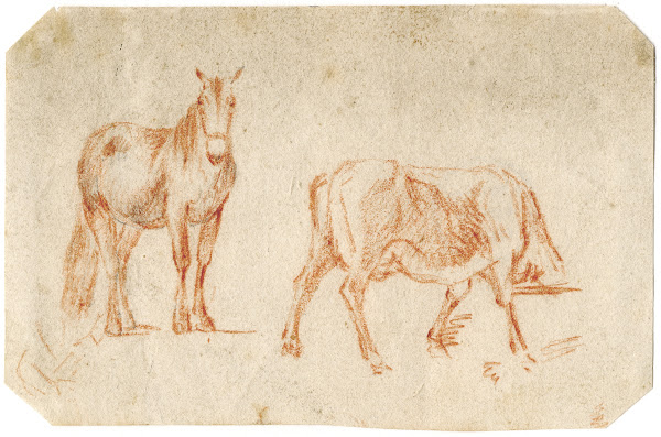 Twee paarden