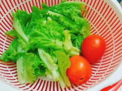 Xà lách cắt bỏ gốc, rửa sạch cùng cà chua. Xếp xà lách, cà chua cắt lát ra đĩa, xếp gà lên trên và thưởng thức.