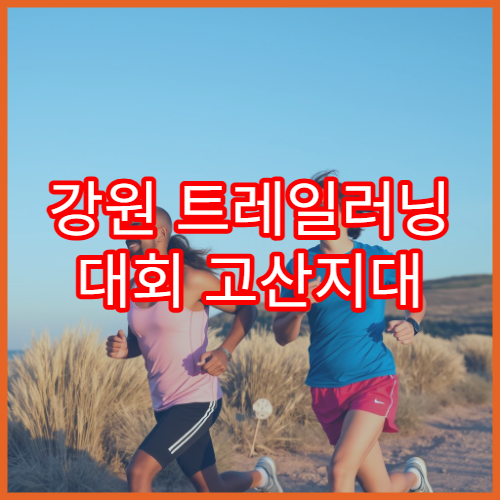 강원 트레일러닝 대회 고산지대 코스 분석
