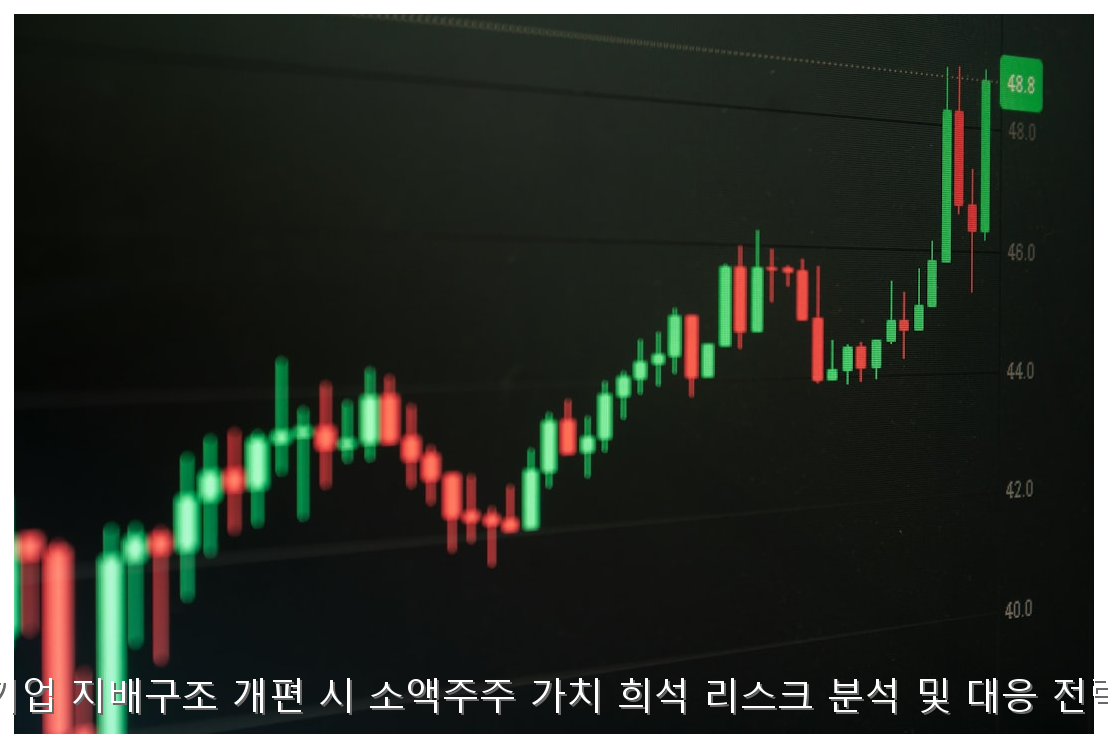 기업 지배구조 개편 시 소액주주 가치 희석 리스크 분석 및 대응 전략 핵심 안내 및 분석 인포그래픽 (3)