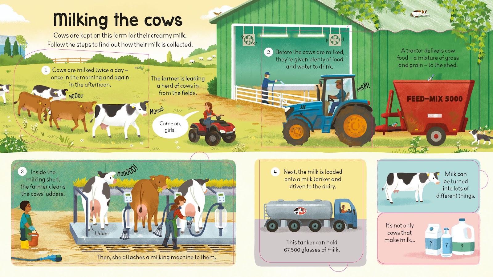 Look Inside a Farm - thumbnail 2