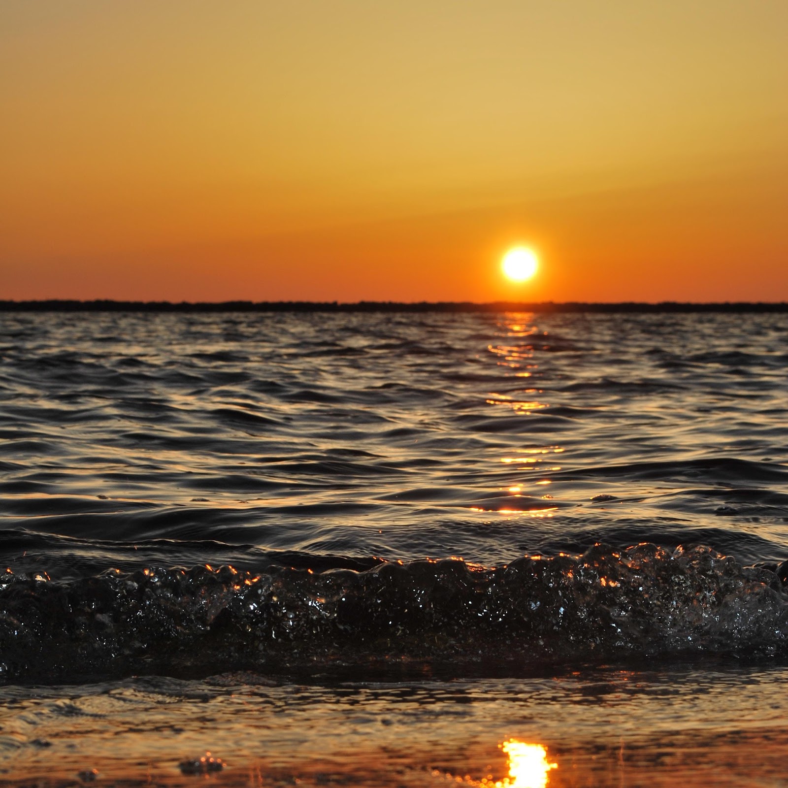 Download Golden Sunset Over Ocean Waves 4K iPhone