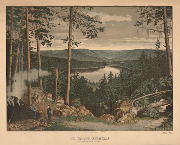 The Northern Black Forest 1905