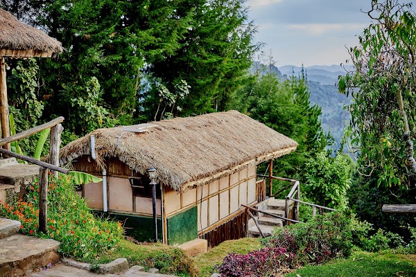 Bwindi frame 4