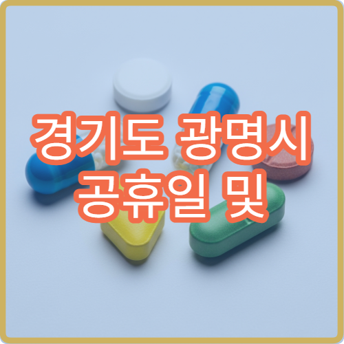 경기도 광명시 공휴일 및 대체 공휴일 정형외과 진료 병원 찾기