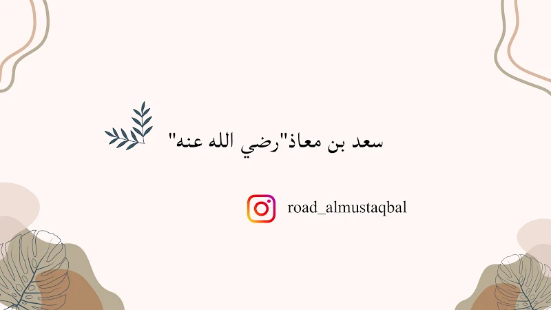 صورة الغلاف
