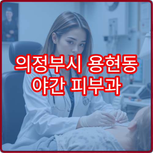 의정부시 용현동 야간 피부과 여드름 피부염 진료 병원 정보