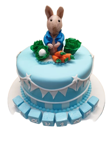 Peter Rabbit First Birthday Cake CB-NC498