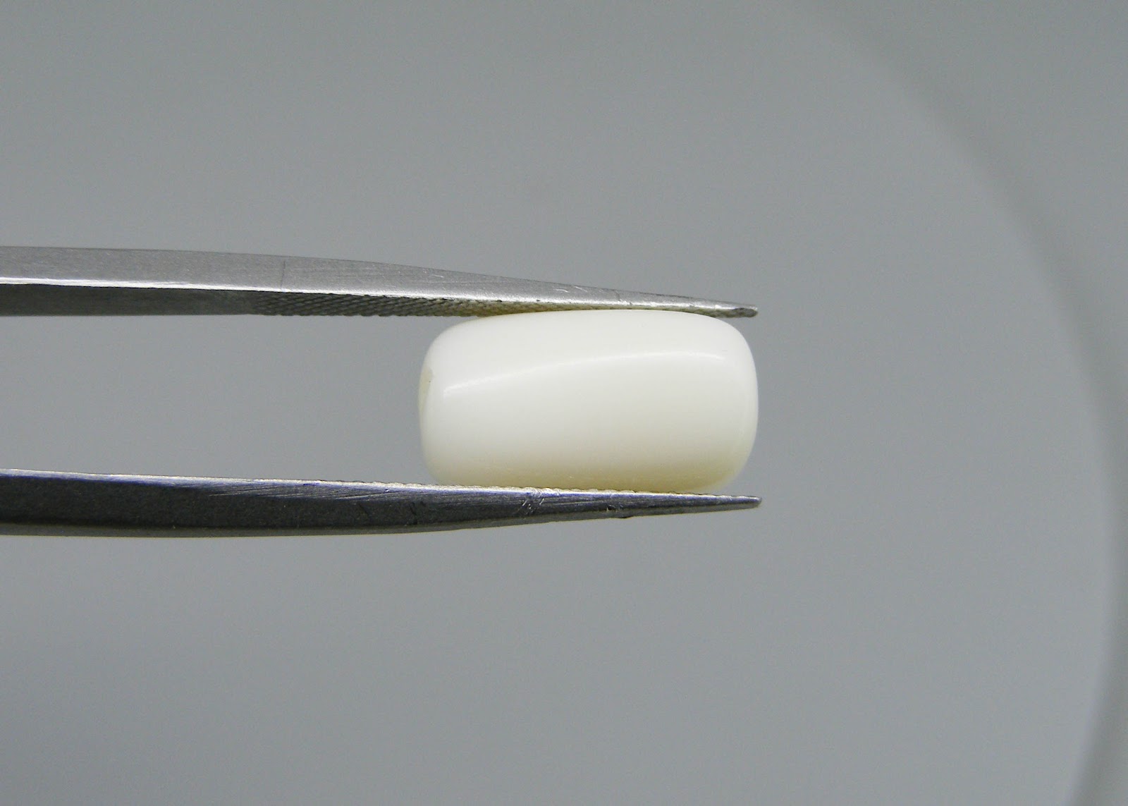 Natural White Coral