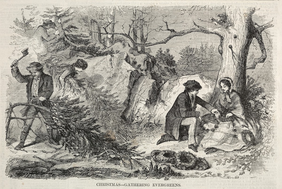 Christmas  Gathering Evergreens 1858