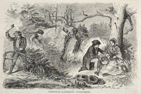 Christmas  Gathering Evergreens 1858