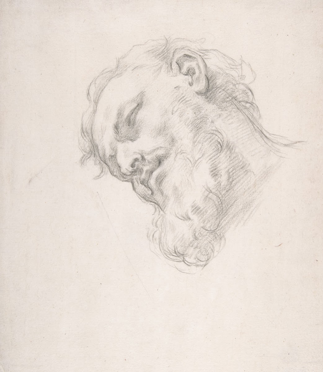 Study for a Head of a Man 16251713
