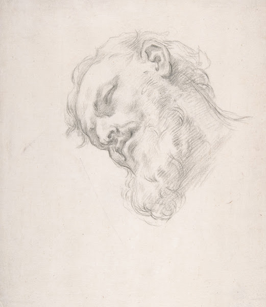 Study for a Head of a Man 16251713