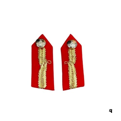 COLLAR DOGS RED AND GOLDEN