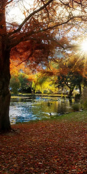 Autumn Landscape, Fall Foliage, Nature Park, Scenic View 4K Wallpaper Background