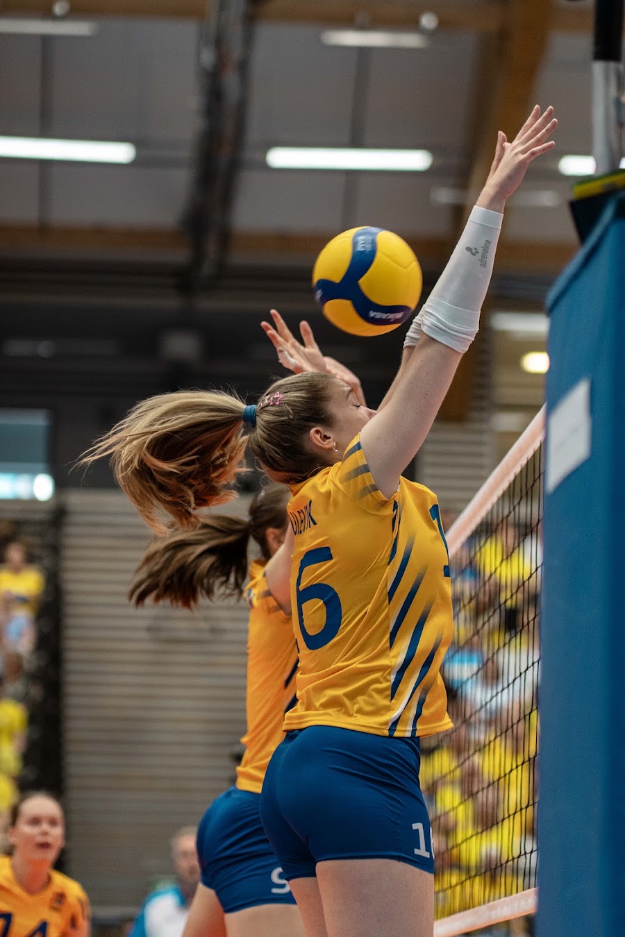 Sweden Slovenia 336