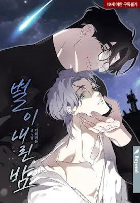 A Night When Stars Fell