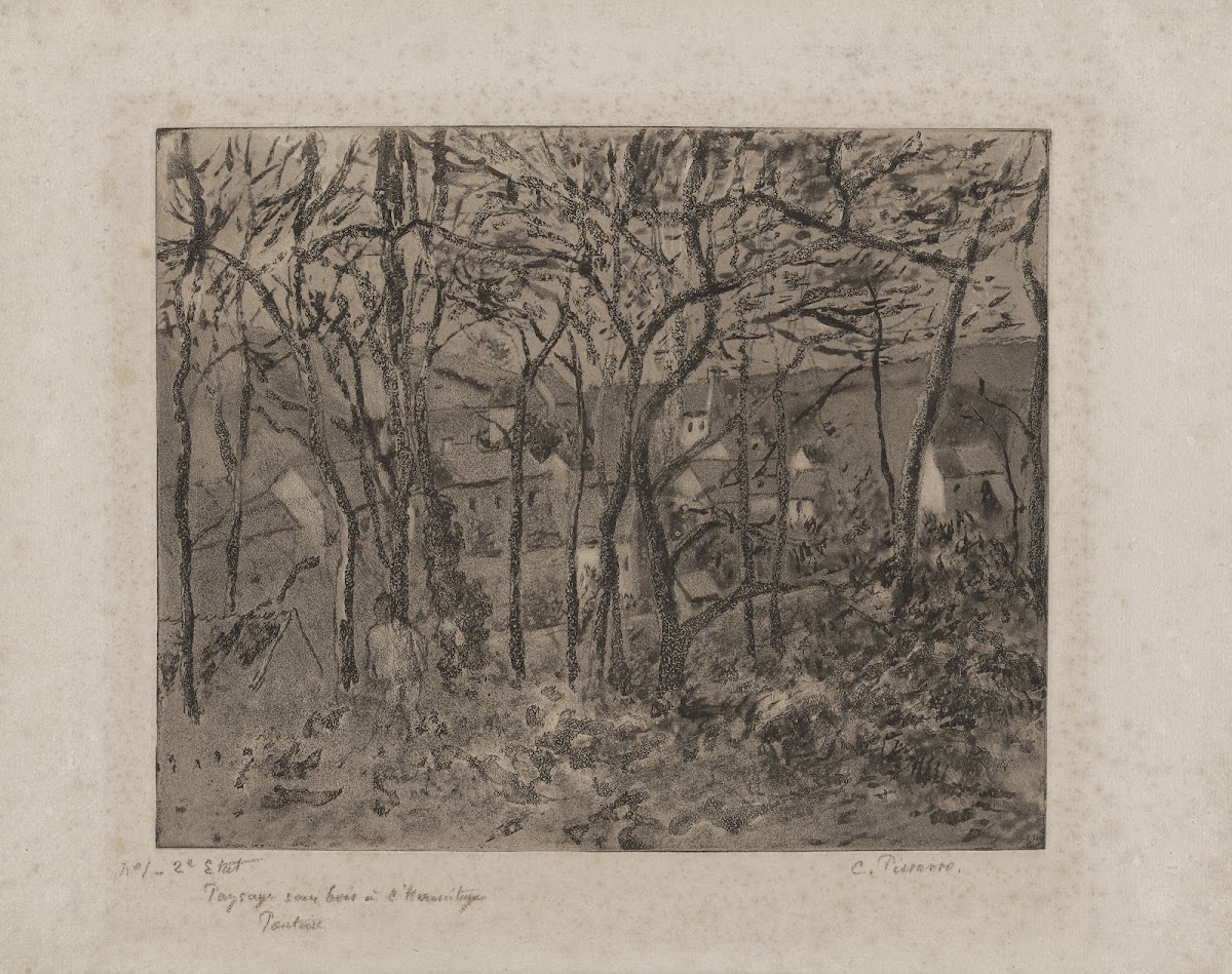 Wooded Landscape at the Hermitage 1879