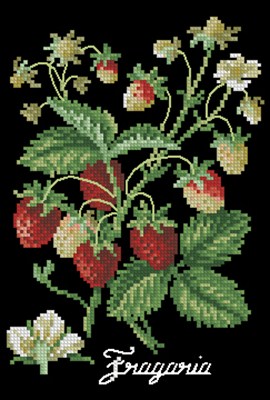 CMP 200665 Pattern