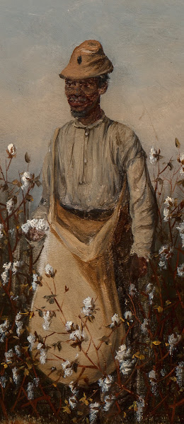Picking Cotton