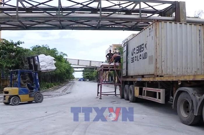 Nghị quyết 57: Doanh nghiệp phải trở thành chủ thể kiến tạo tăng trưởng - Báo VietnamPlus