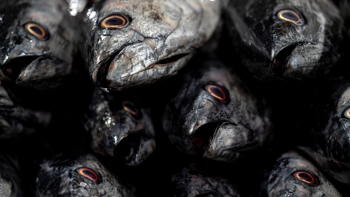 원자재 가격 변동과 글로벌 물가 상승 간 환율 연동 메커니즘