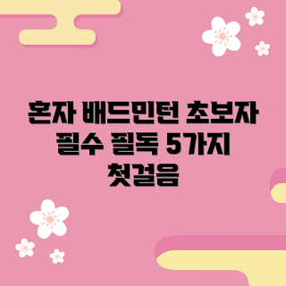 혼자치는배드민턴, 초보자 추천, 배드민턴 기초, 내돈내산 후기, 배드민턴 첫걸음